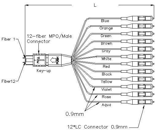 SM MPO 12Pigtails – 10G-Link Fiber Communication Co., Ltd.